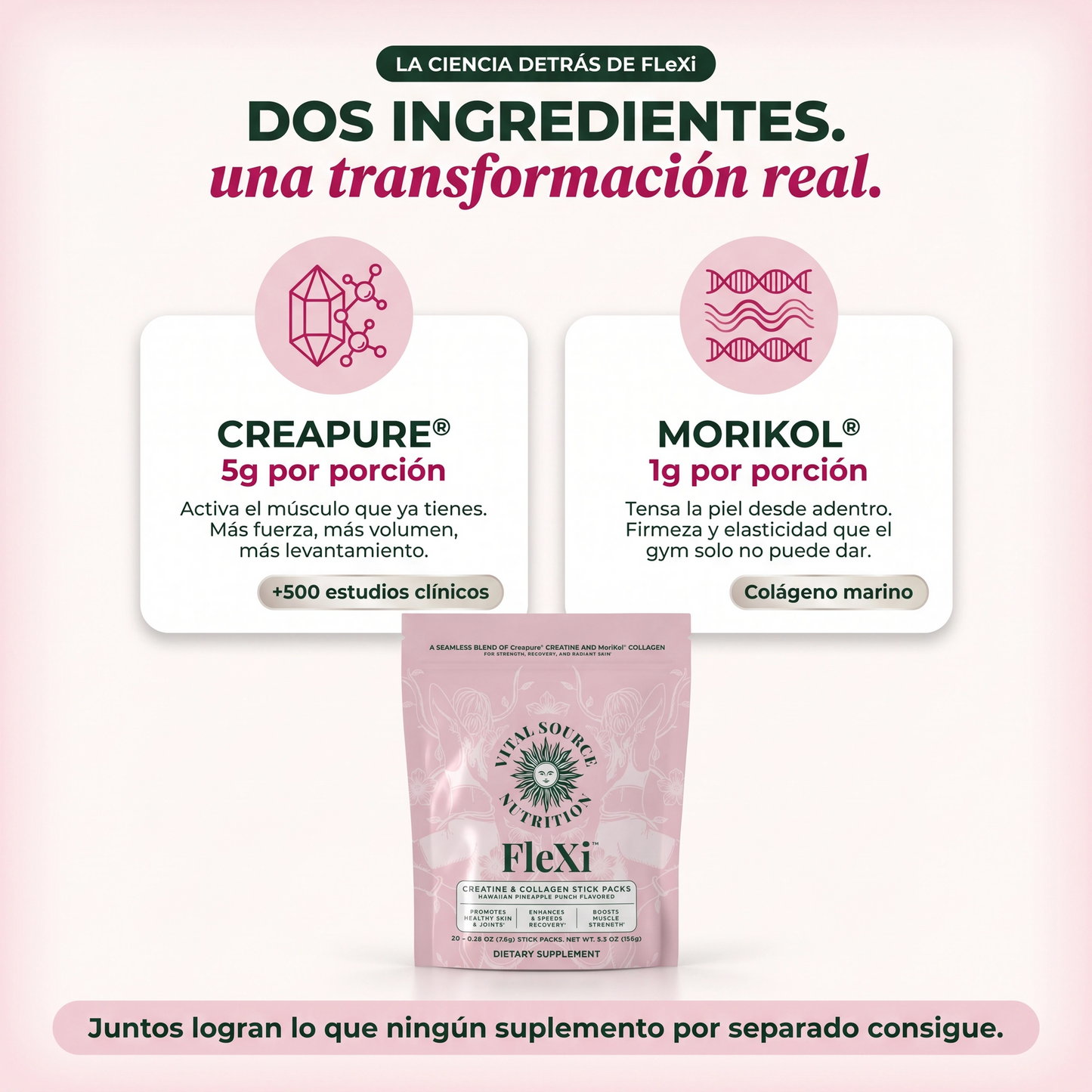 Creatina Monohidratada + Colágeno